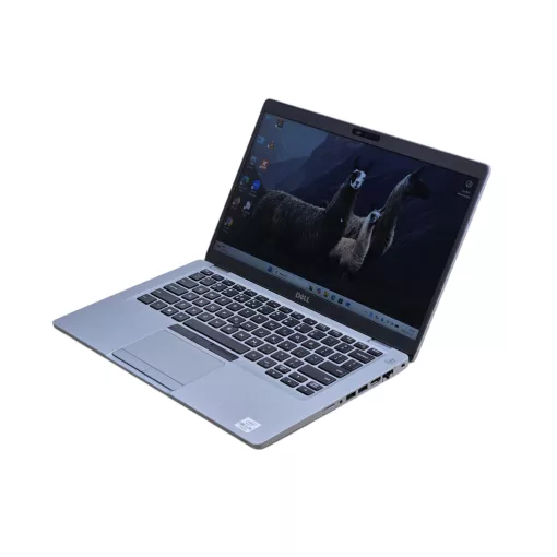 Dell Latitude Laptop 5411 / i5-10400H / 16GB RAM / 256GB SSD