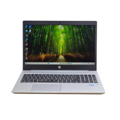 HP ProBook 450 G6 / i5-8265U / 8GB RAM / 256GB SSD
