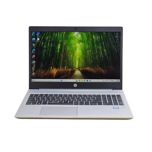 HP ProBook 450 G6 / i5-8265U / 8GB RAM / 256GB SSD