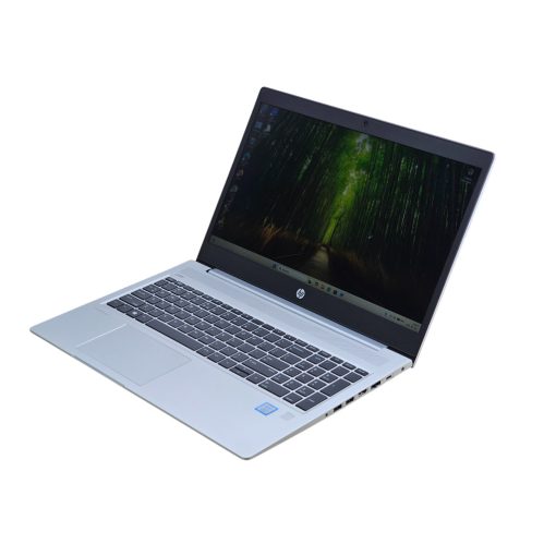 HP ProBook 450 G6 / i5-8265U / 8GB RAM / 256GB SSD